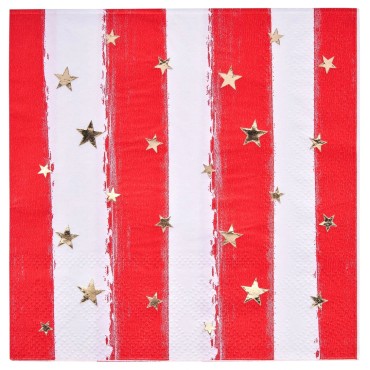 Disposable Dinnerware usa Patriotic Pack For 4th of july Plates Napkins USA independency day Event Party Supplies decoration