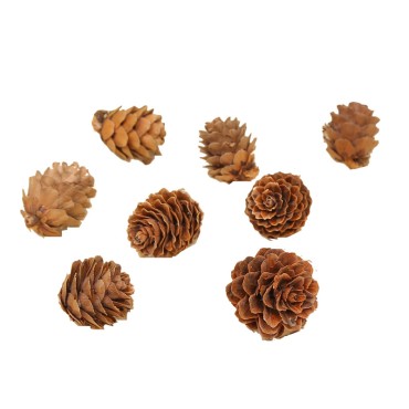 1-18CM Pineapple Christmas Decorative Pendant Creative Decoration Shooting Props Dry Flower Pine Tower Oil Pine Wholesale