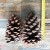 A1-10 # 9-12CM American Pine  + $0.21 