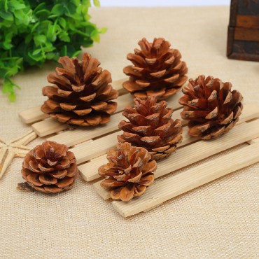 1-18CM Pineapple Christmas Decorative Pendant Creative Decoration Shooting Props Dry Flower Pine Tower Oil Pine Wholesale