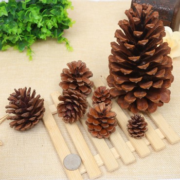 1-18CM Pineapple Christmas Decorative Pendant Creative Decoration Shooting Props Dry Flower Pine Tower Oil Pine Wholesale