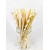 25 gold-plated straws 