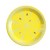 8 9-inch 23cm gold plated lemon plates in yellow color  + $0.44 