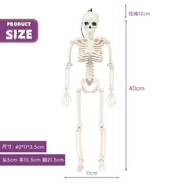 Cross -border Halloween Skeleton Plastic Model 40cm Skull Halloween Garden Party Decoration Private Private Proper Ghost House Courtyard