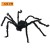 125cm black spider  + $2.04 