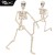 New 90cm skeleton person  + $5.16 